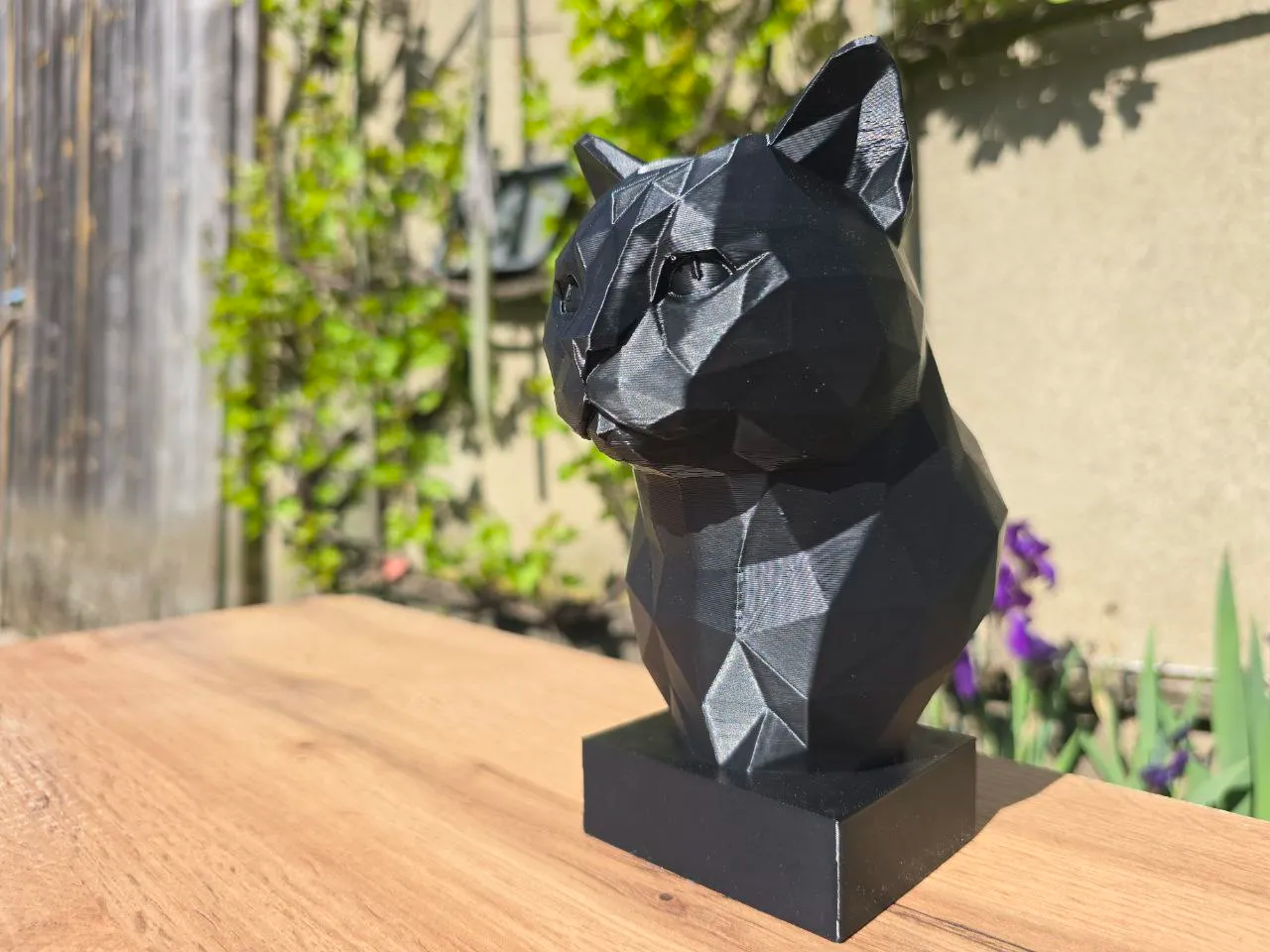 British Shorthair Kedi 